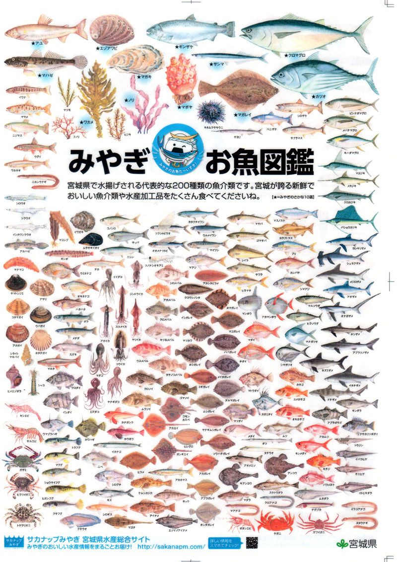 宮城　お魚図鑑